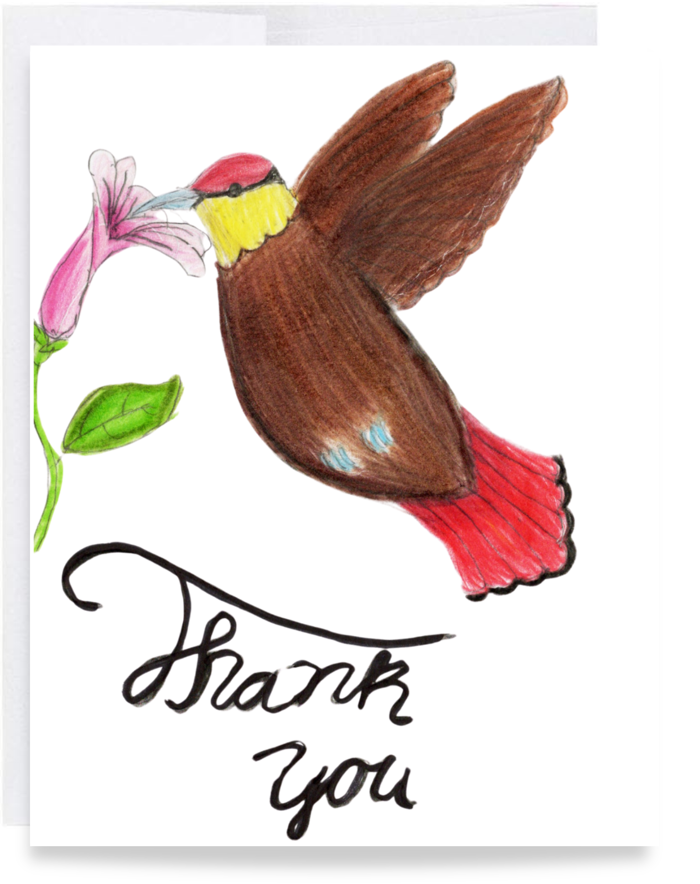 Thank You Hummingbird