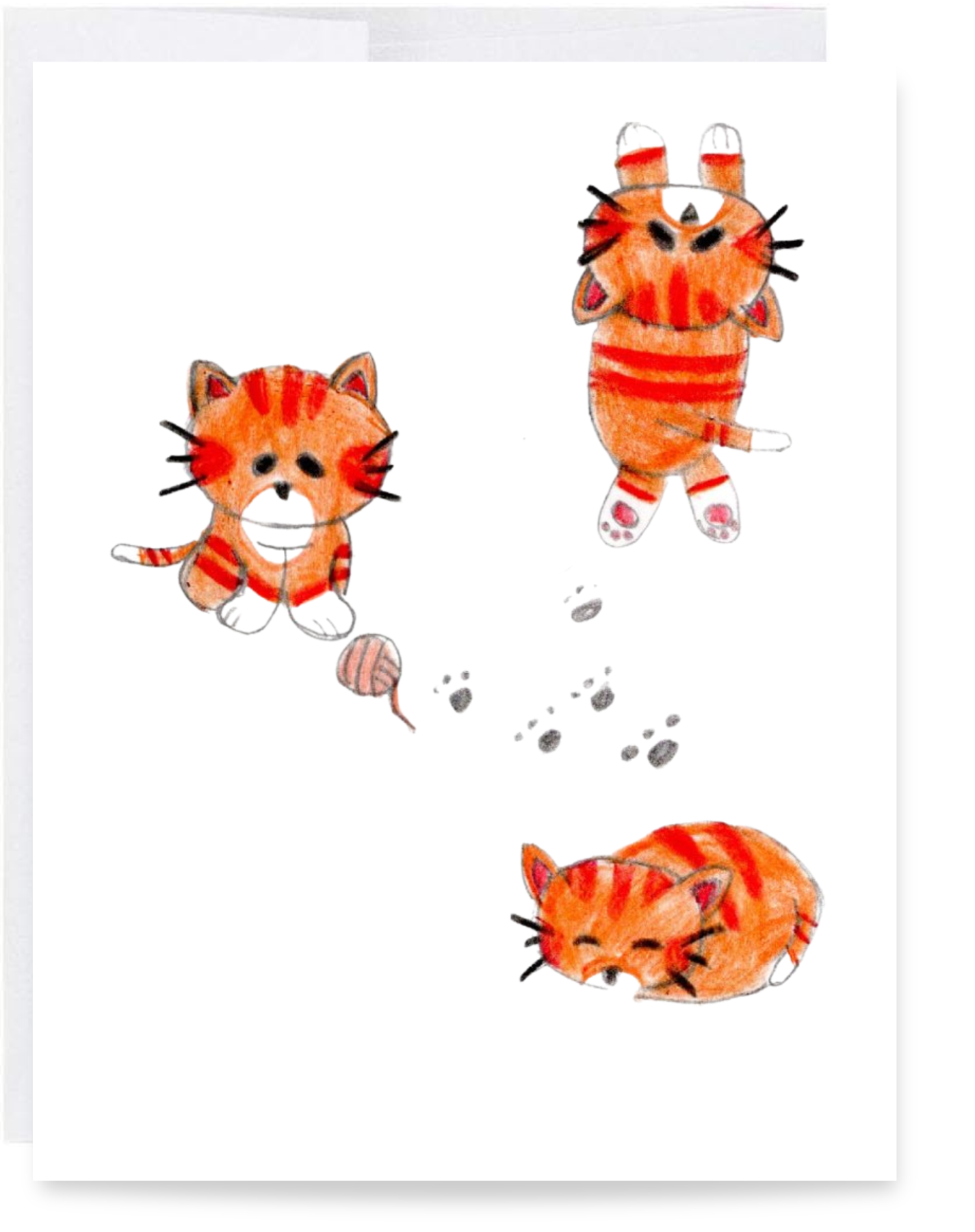 Blank Cat Card