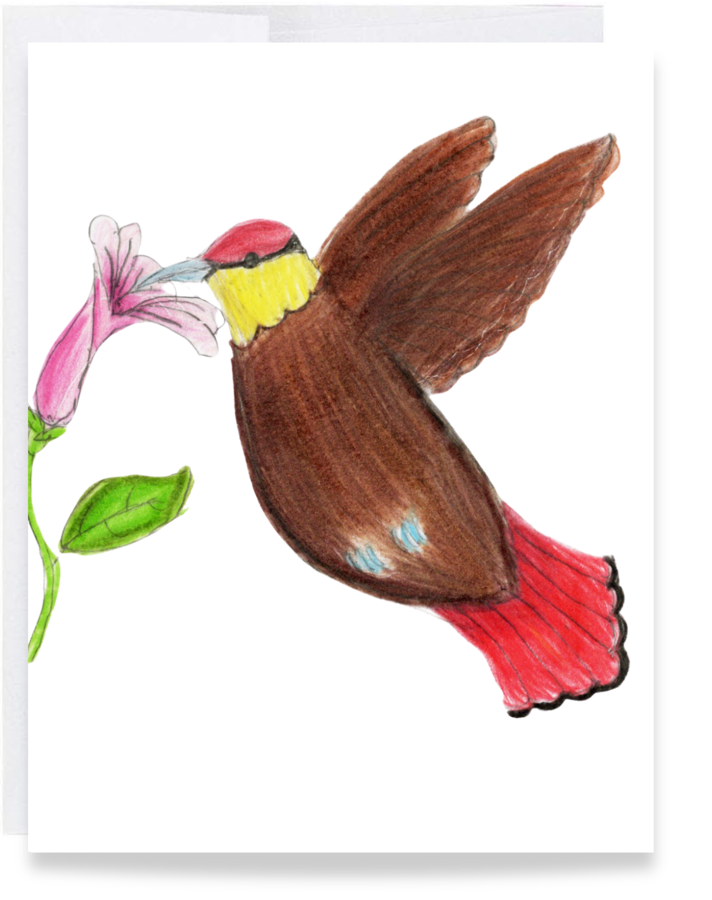 Blank Bird Card