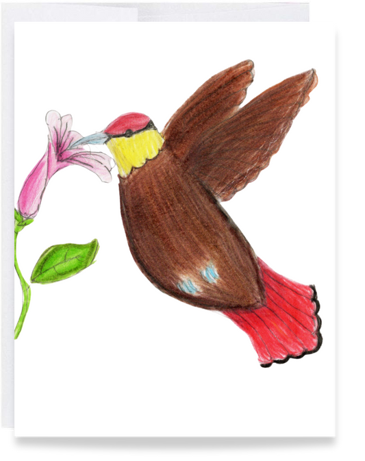 Blank Bird Card
