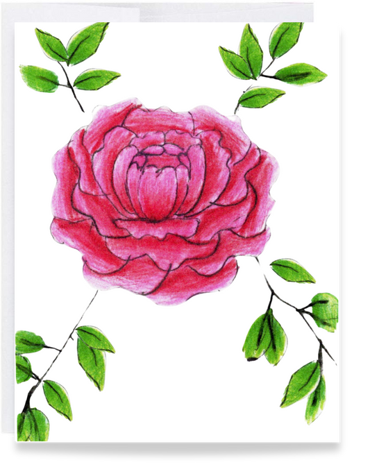 Blank Peony Card